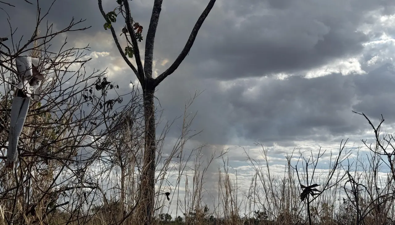 OMS advierte que las olas de calor causan 540.000 muertes anuales en el mundo
