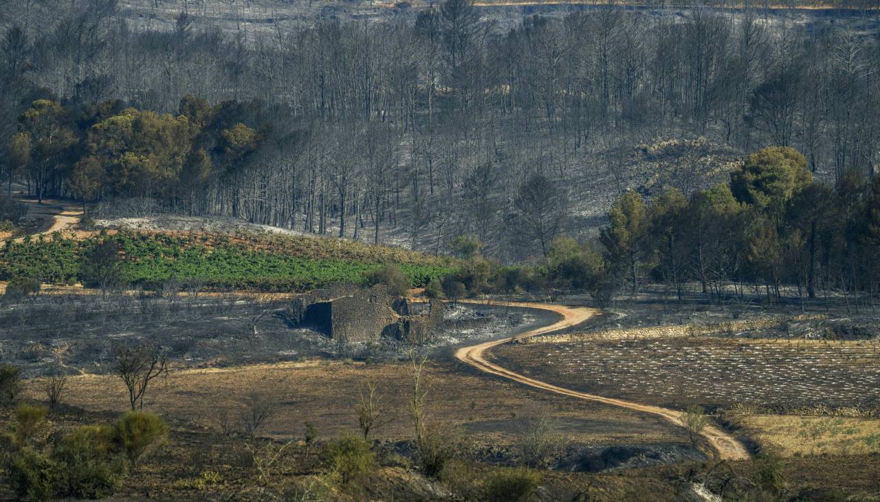 Un incendio en el sur de Francia arrasa 11.000 hectáreas y deja una mujer muerta
