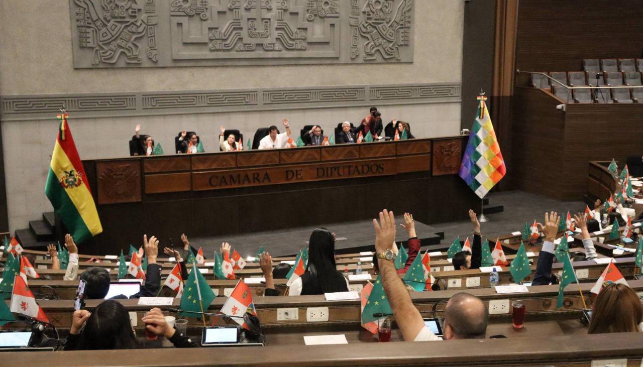 Diputados votan para modificar el orden del día y priorizar la ley de elecciones subnacionales