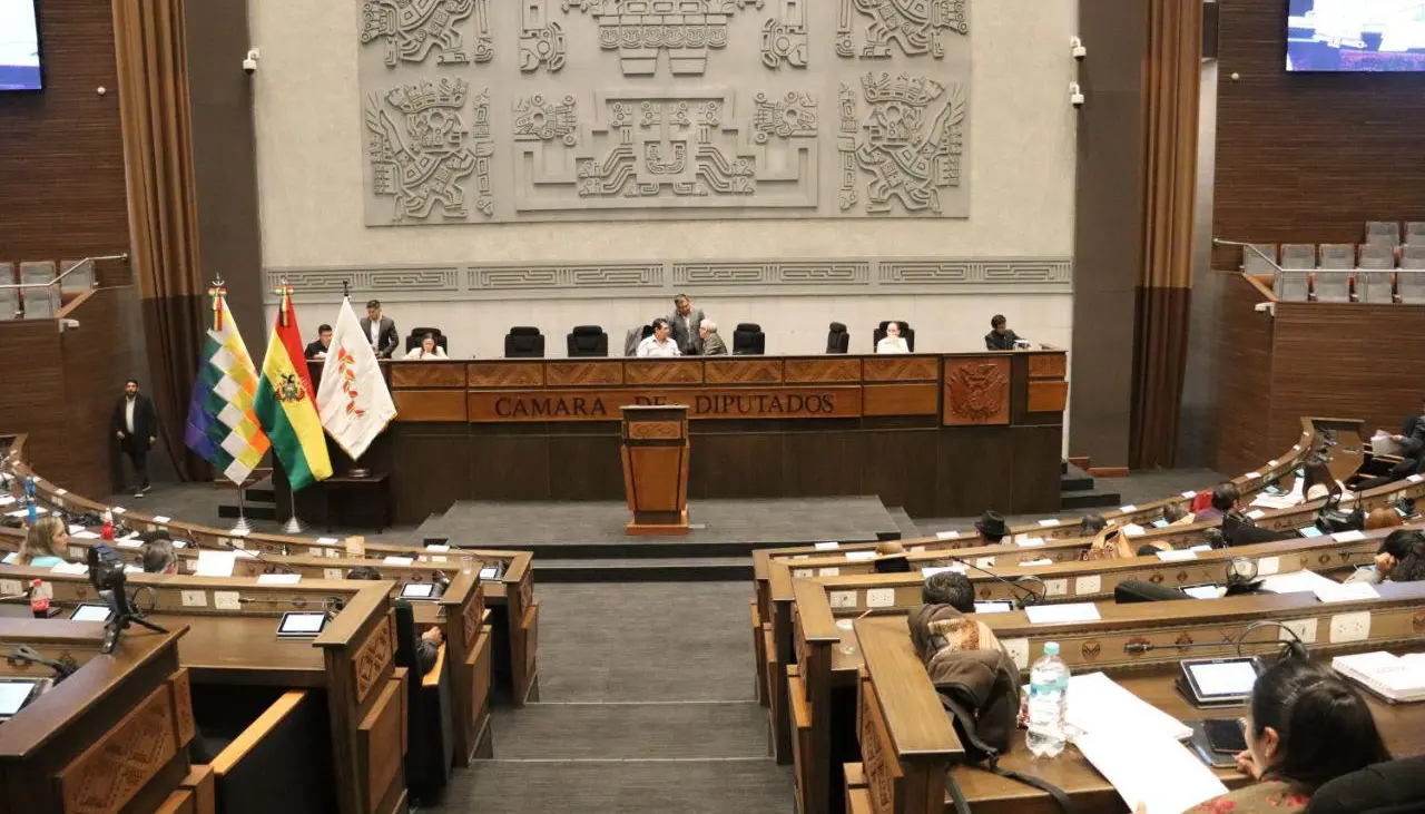 Cámara de Diputados aprueba en grande el crédito por $us 550 millones de la CAF