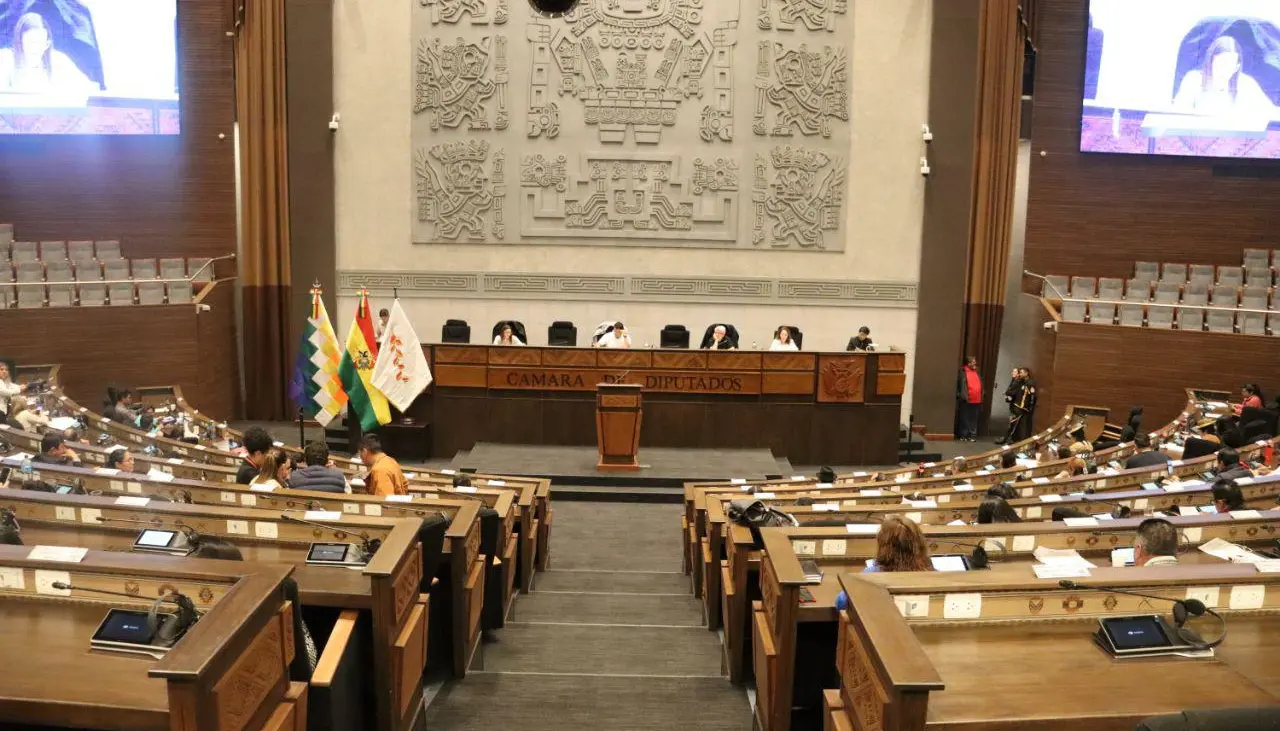 Avanza la sesión de la Cámara de Diputados para la designación de vocales electorales departamentales