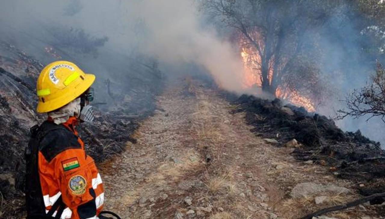Gobierno declara emergencia nacional en Bolivia por incendios forestales