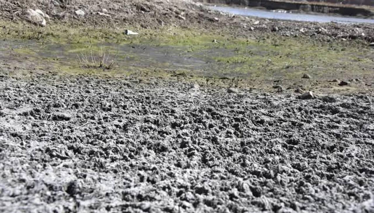 Estudio alerta que El Niño podría causar 451.000 muertes adicionales en el mundo hasta febrero