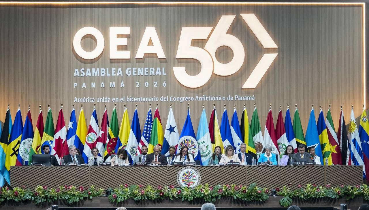 Embajador argentino respalda a Paz en la OEA: “Parece que Algunos grupos solo son democráticos cuando ganan elecciones”