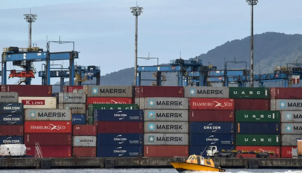 Nueve detenidos y casi una tonelada de cocaína incautada en un puerto de Brasil