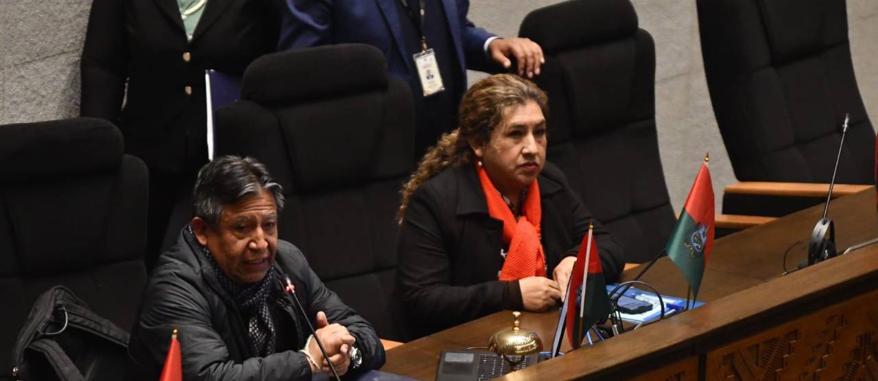 Asamblea aprueba la ley de amnistía e indulto presidencial y lo remite al Ejecutivo para su promulgación