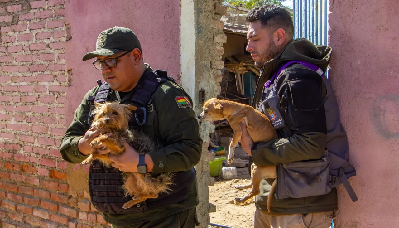 Con parásitos y desnutrición crónica, así se encontraban los 40 perros rescatados de un criadero clandestino