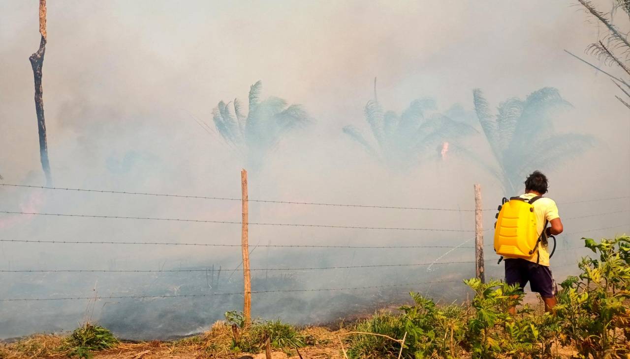 Ganaderos: Al menos 400.000 reses están en riesgo de muerte debido a los incendios forestales