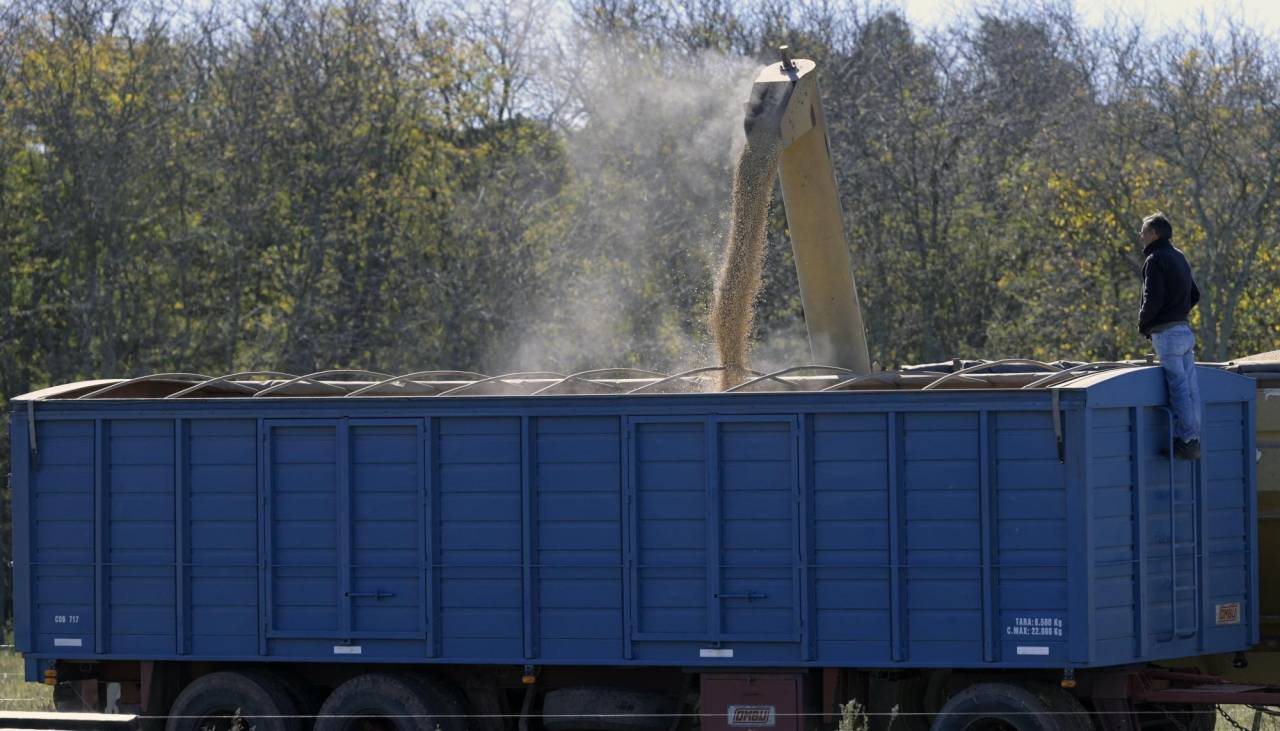 Productores advierten que caída de la exportación de soya tiene que ver con la baja producción y los precios internacionales