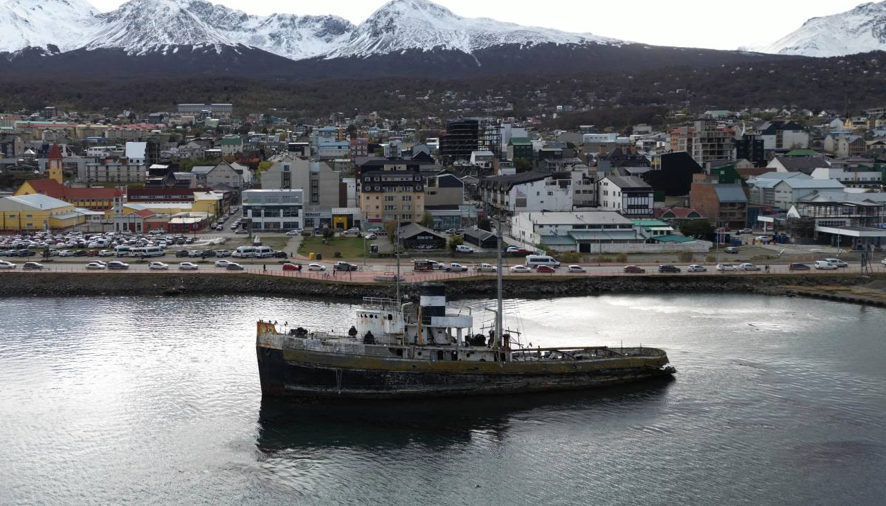 OMS confirma que ocho casos en brote de hantavirus son de la cepa de los Andes