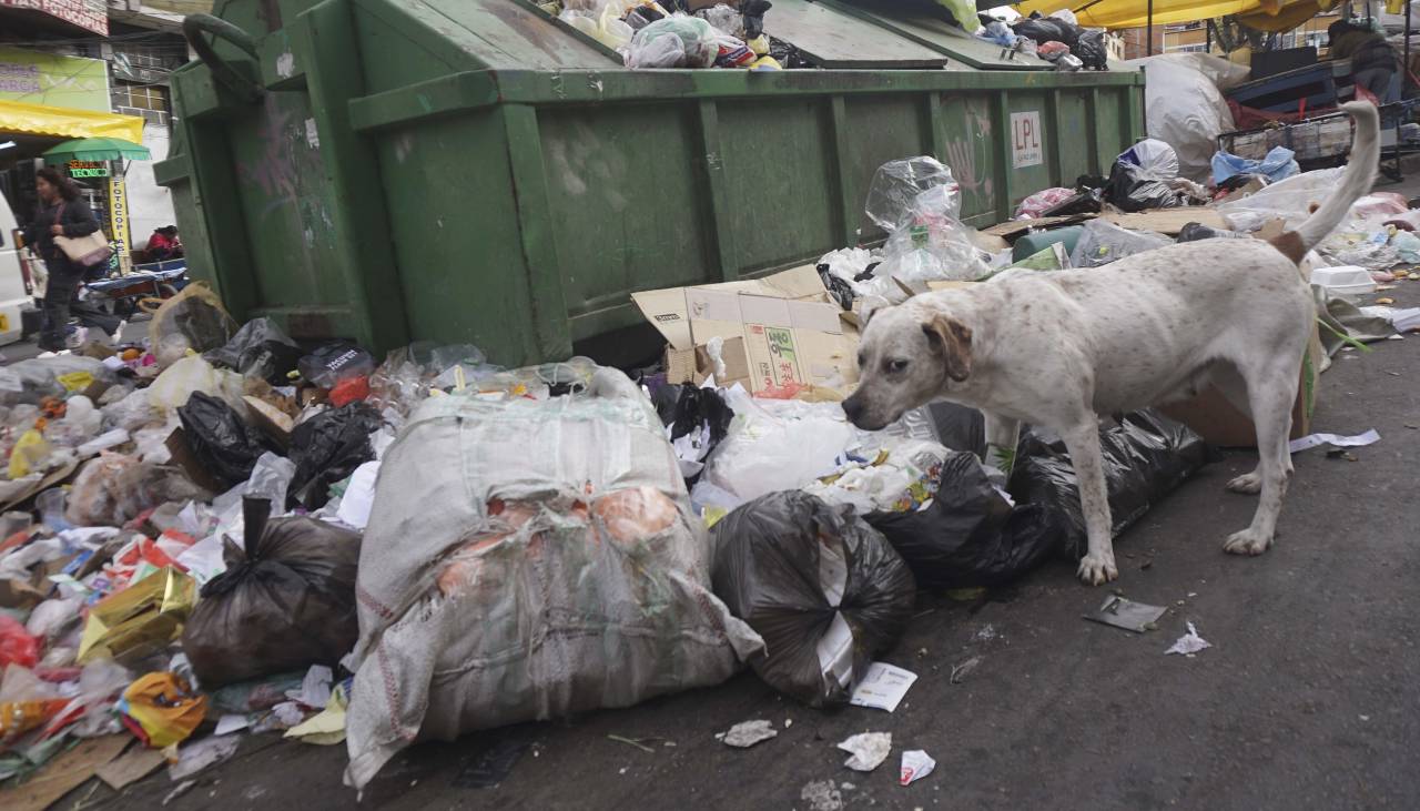 La Paz: Alcaldía dice que garantiza diésel para el recojo de basura; trabajadores afirman que no recibieron combustible