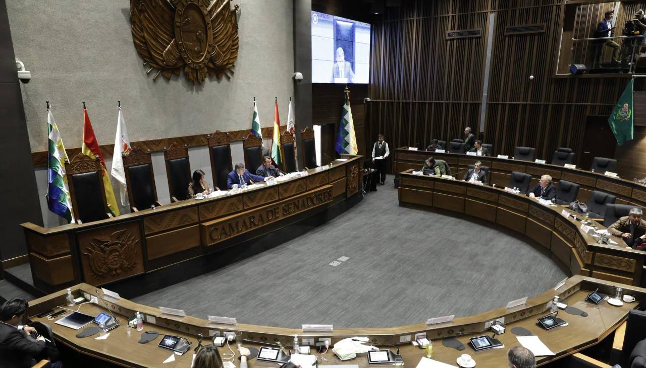 Senado inicia tratamiento de crédito de $us 200 millones del Banco Mundial para “protección social de las familias” 