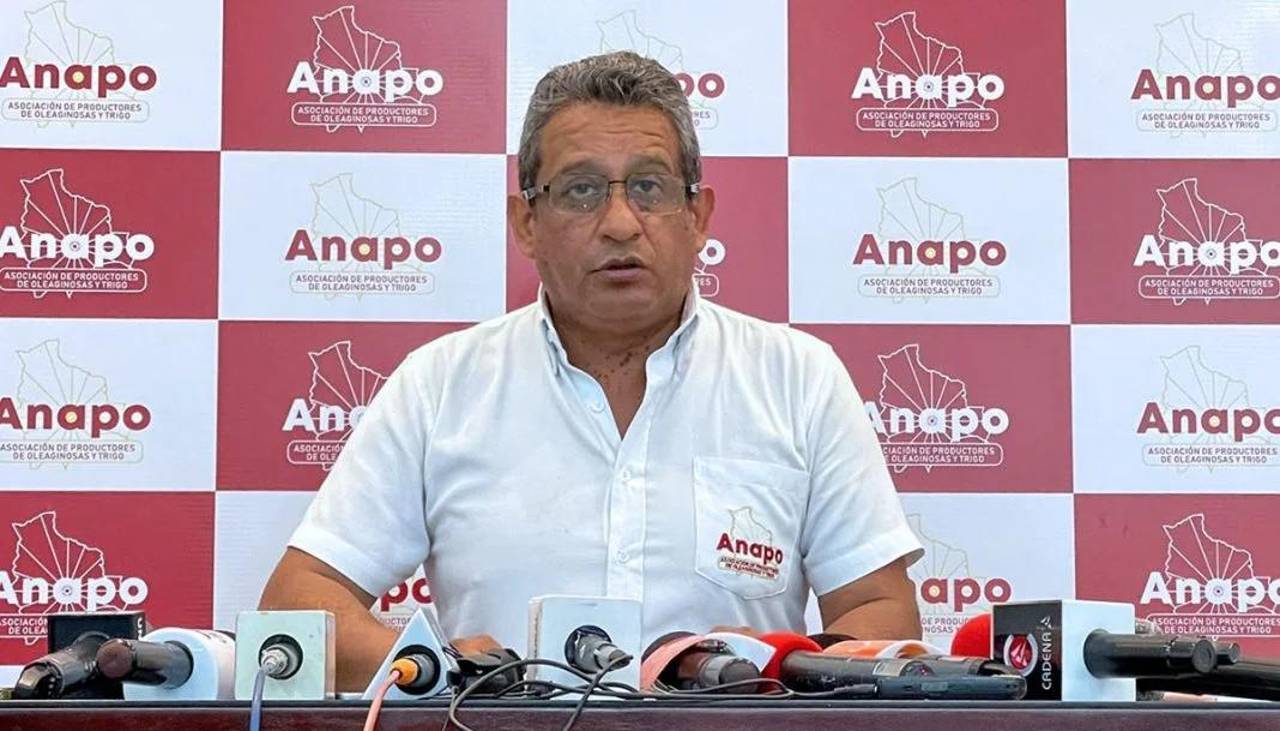 “Santa Rita es estratégico, a partir de ahí los avasalladores quieren tomar 70.000 hectáreas”, denuncia gerente de Anapo