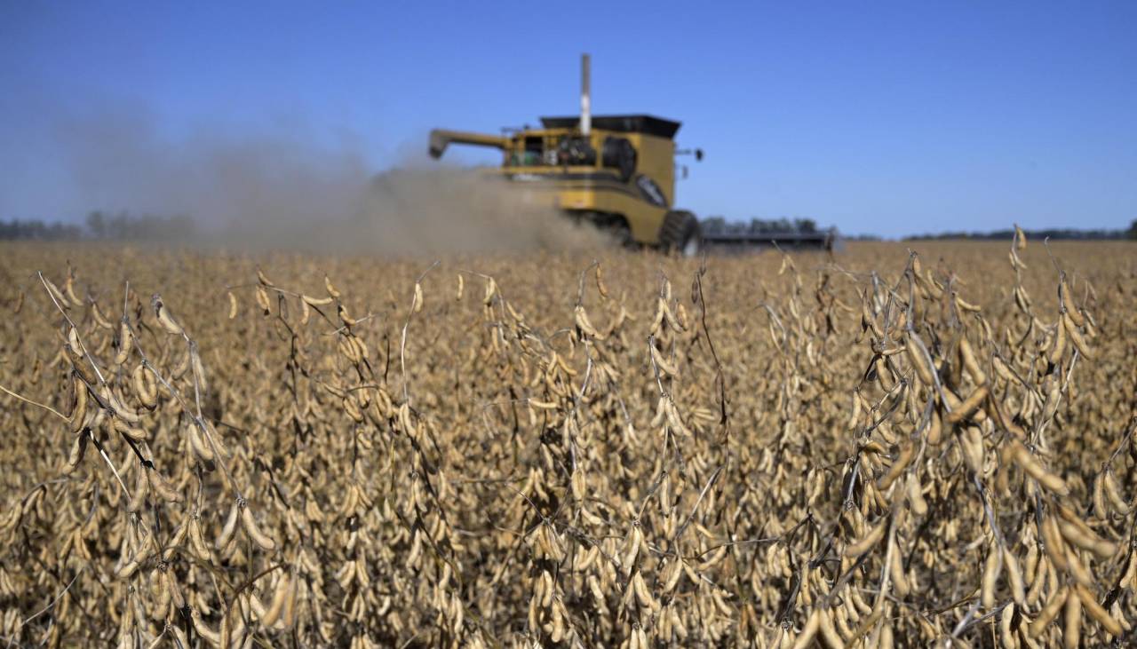 Ante caída de exportaciones, prevén menores ingresos por exportaciones de derivados de soya