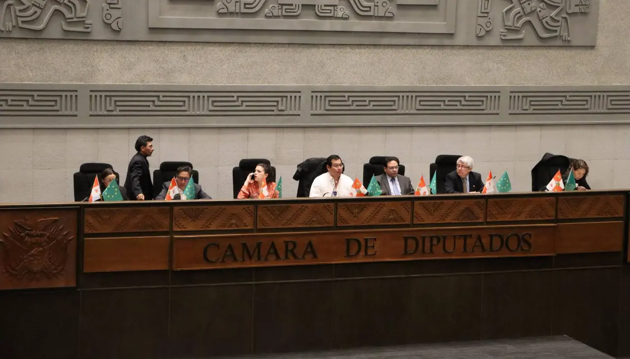 Cámara de Diputados instala sesión convocada para tratar el proyecto de ley para las elecciones subnacionales