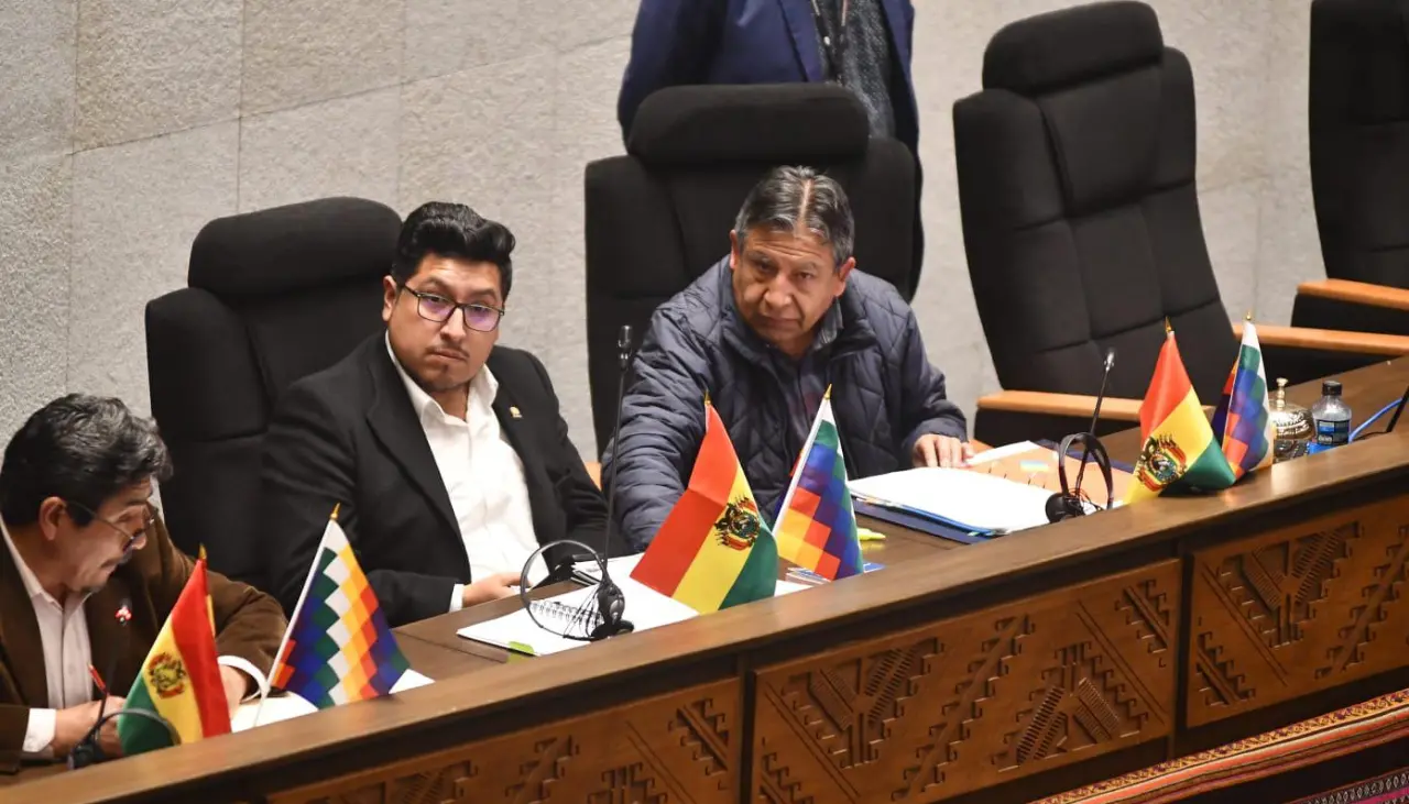 ALP: Evistas y opositores rechazan modificar proyecto de ley para viabilizar crédito de $us 100 millones de Japón