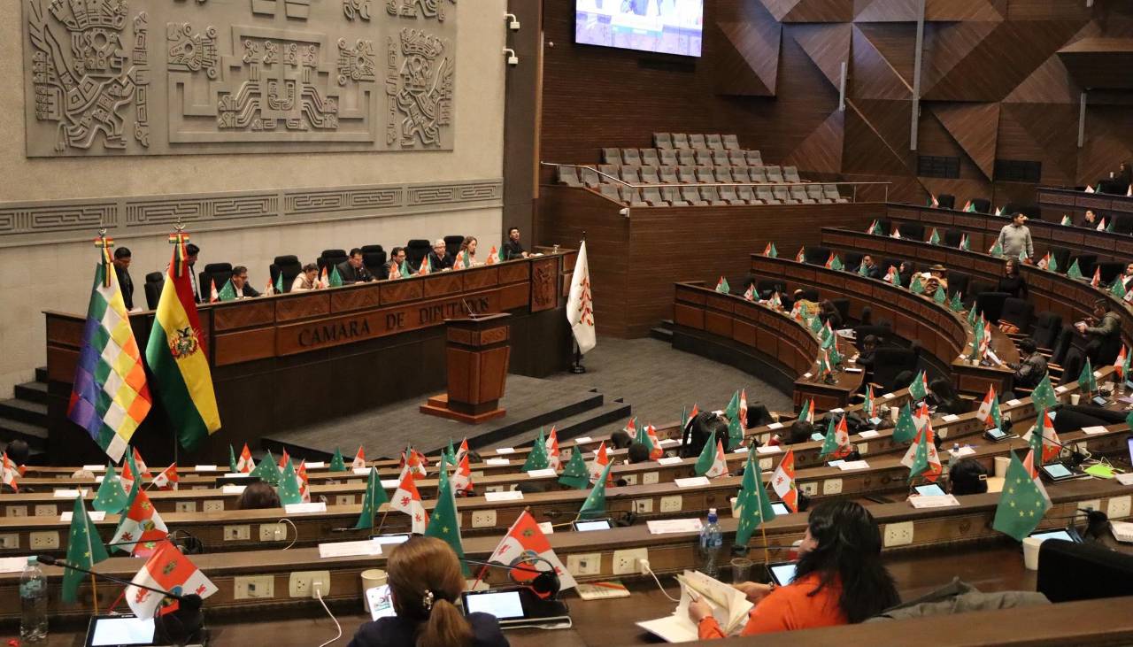 Diputados: Tras aprobar en grande la ley para las subnacionales, el debate se prolonga durante la madrugada