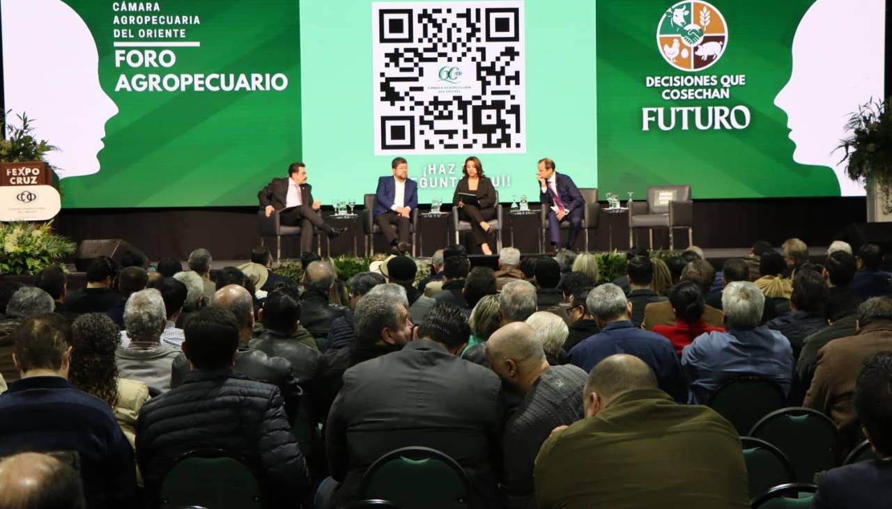 ¿Qué acciones contemplan los candidatos frente a los avasallamientos de predios privados y áreas protegidas?