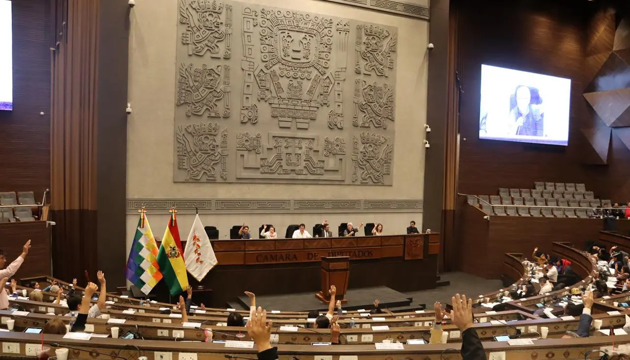 Cámara de Diputados inicia votación nominal sobre el crédito de $us 100 millones del Japón 