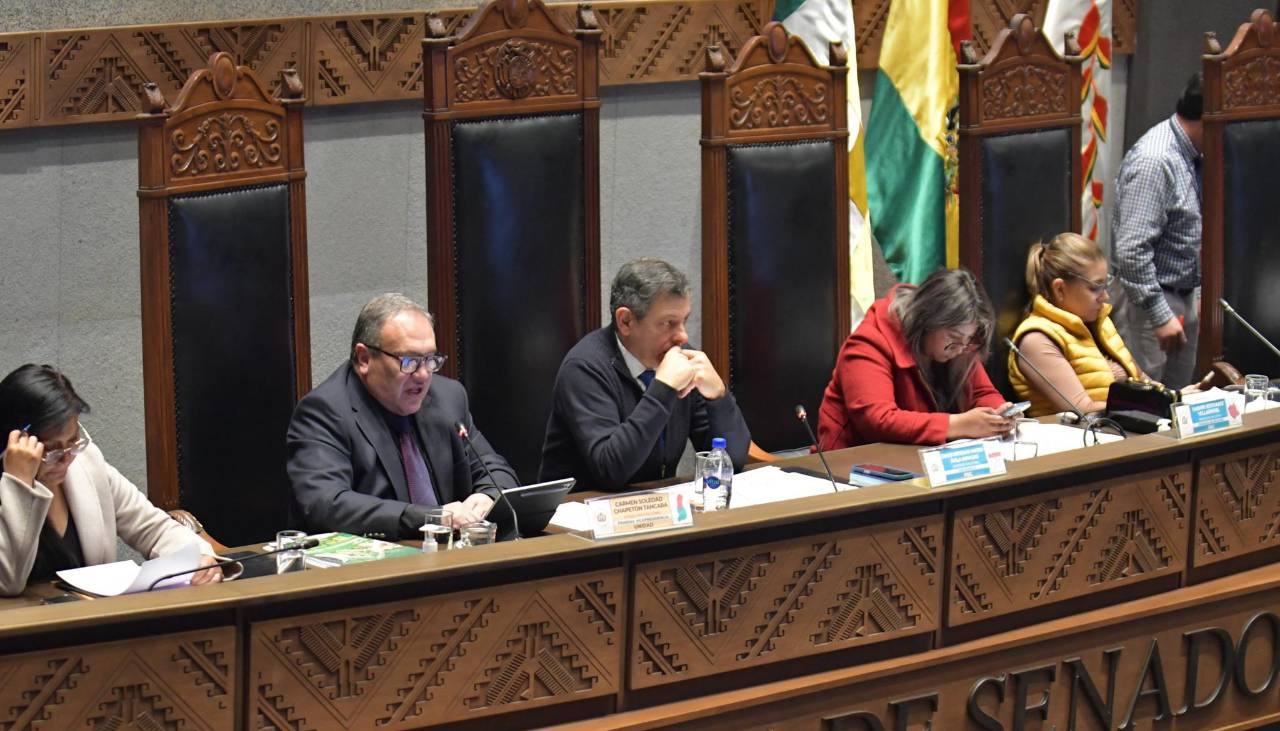 Senado conforma comisión especial para investigar la “mala” calidad de la gasolina 