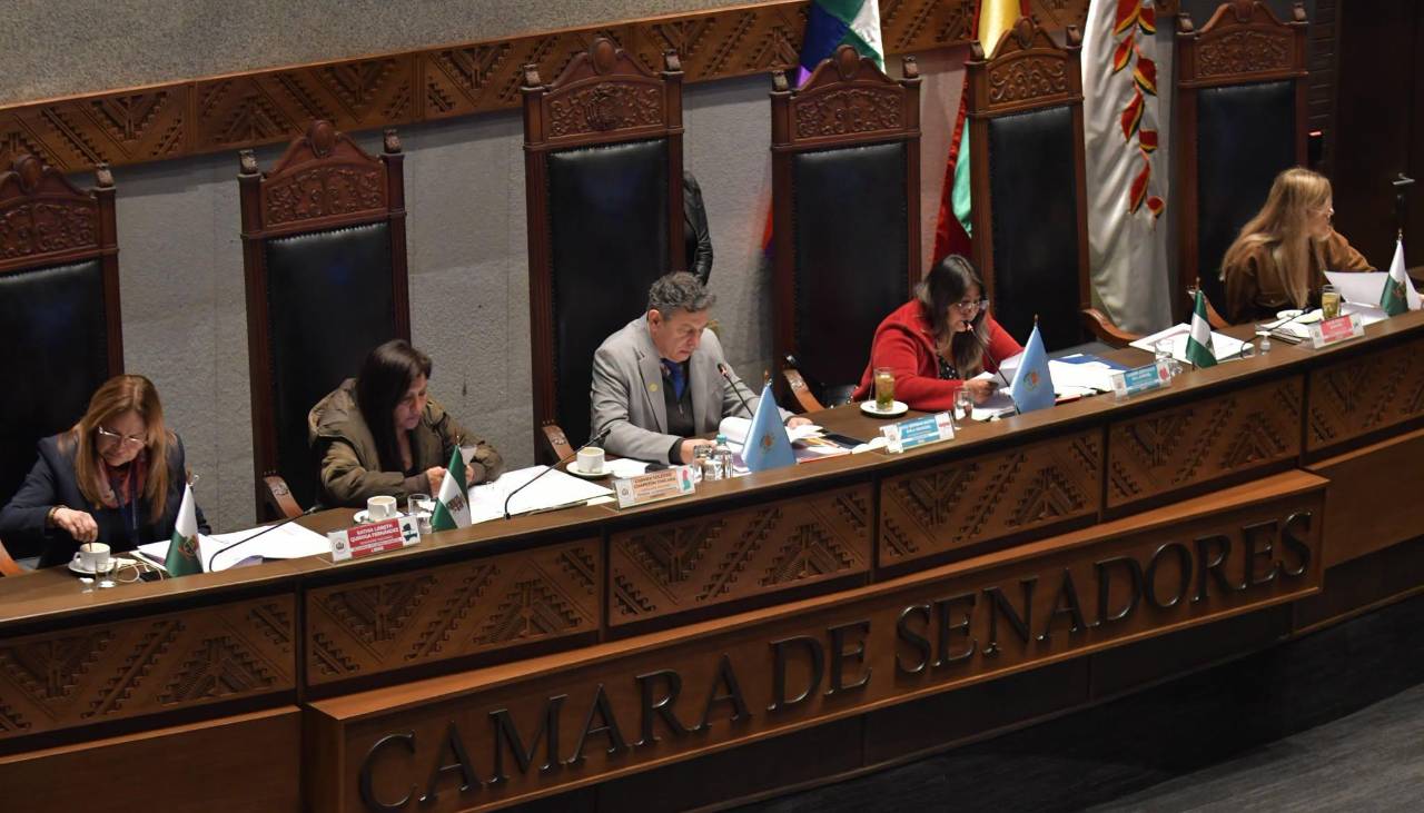 Senado aplaza hasta el jueves tratamiento de crédito de $us 40 millones del BID para saneamiento de tierras
