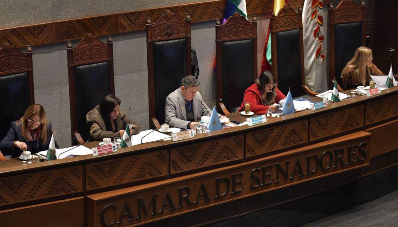 El Senado aprueba dispensación del trámite para el crédito del FMI y el ministro de Economía explica sus alcances