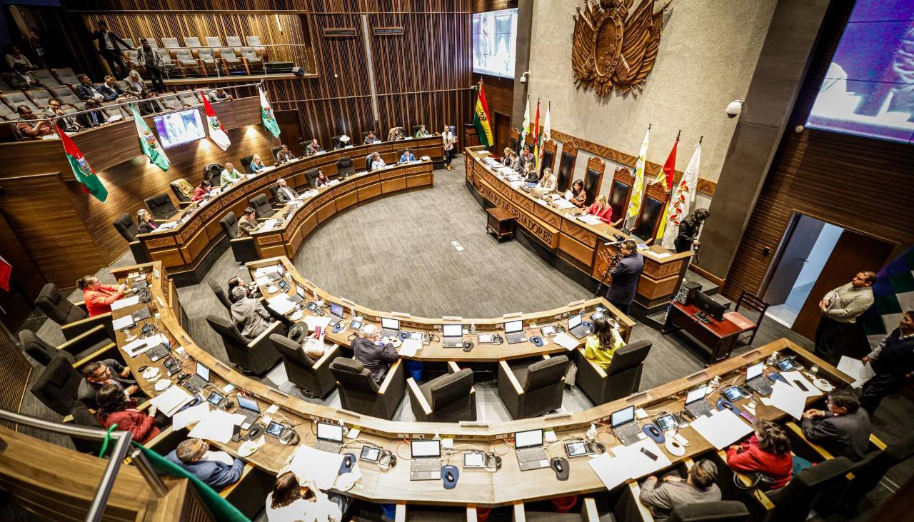 El Senado aprueba “dispensación” para tratar la ley de elecciones subnacionales en la sesión de este jueves