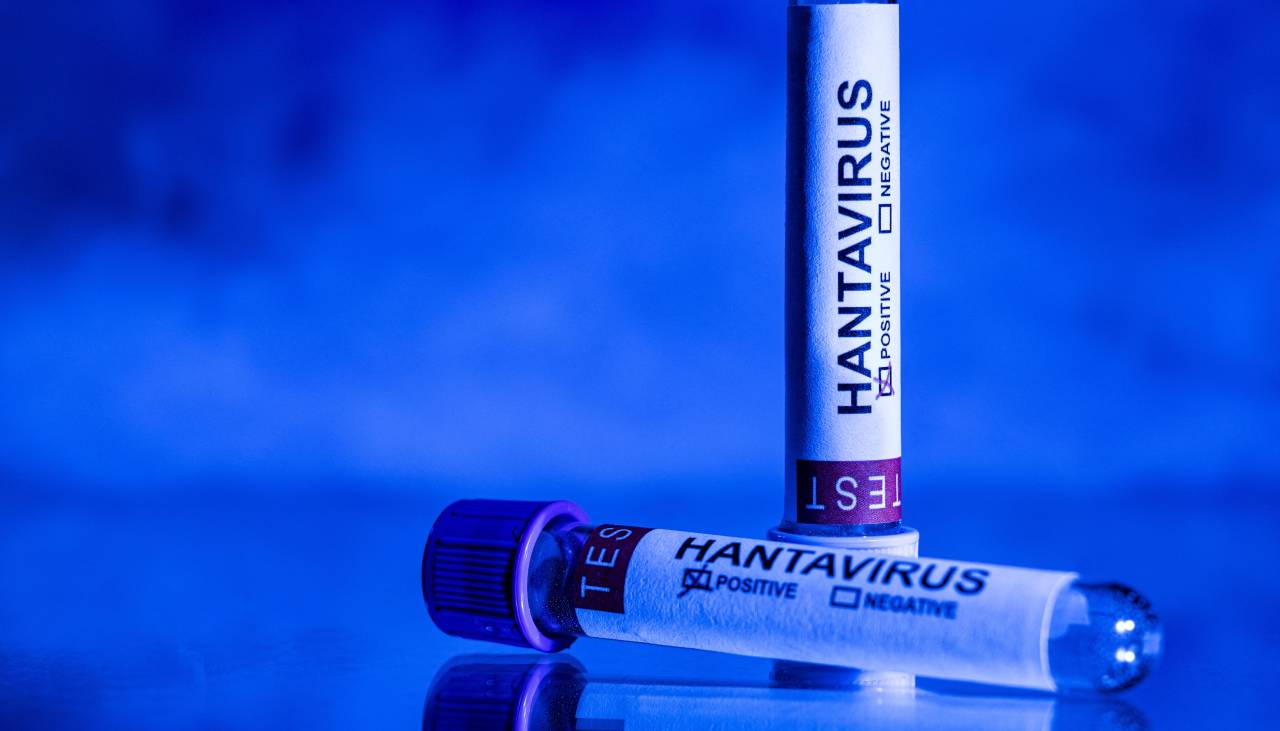 El paciente español que dio positivo por hantavirus presenta síntomas