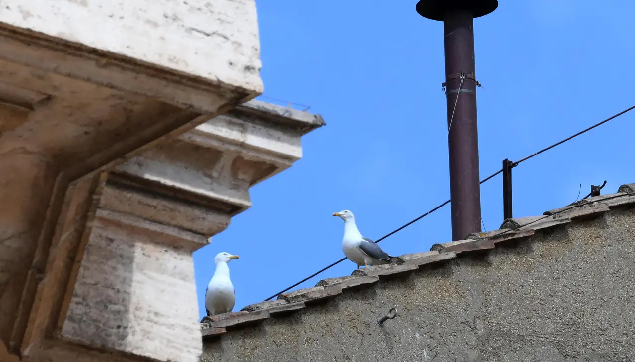 El cardenal decano expresa su deseo de una fumata blanca ya en la tarde del jueves