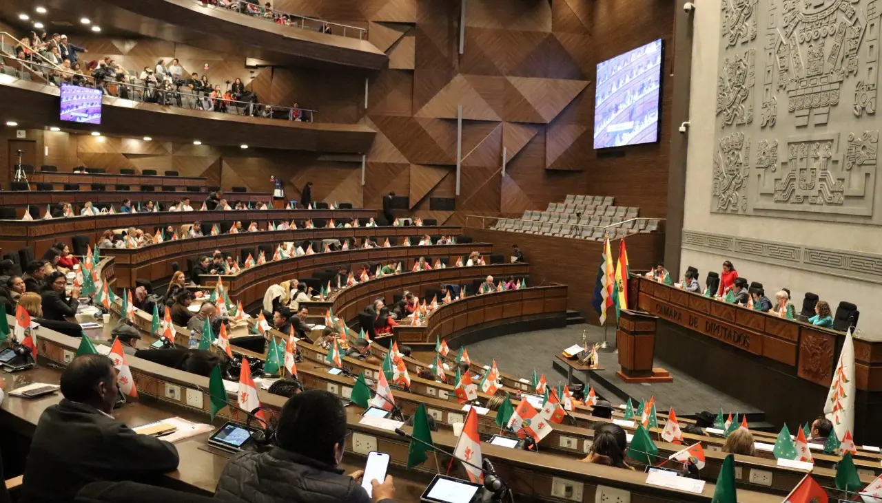 Diputada de Libre exige cuarto intermedio y se genera discusión en sesión que debe tratar ley de subnacionales