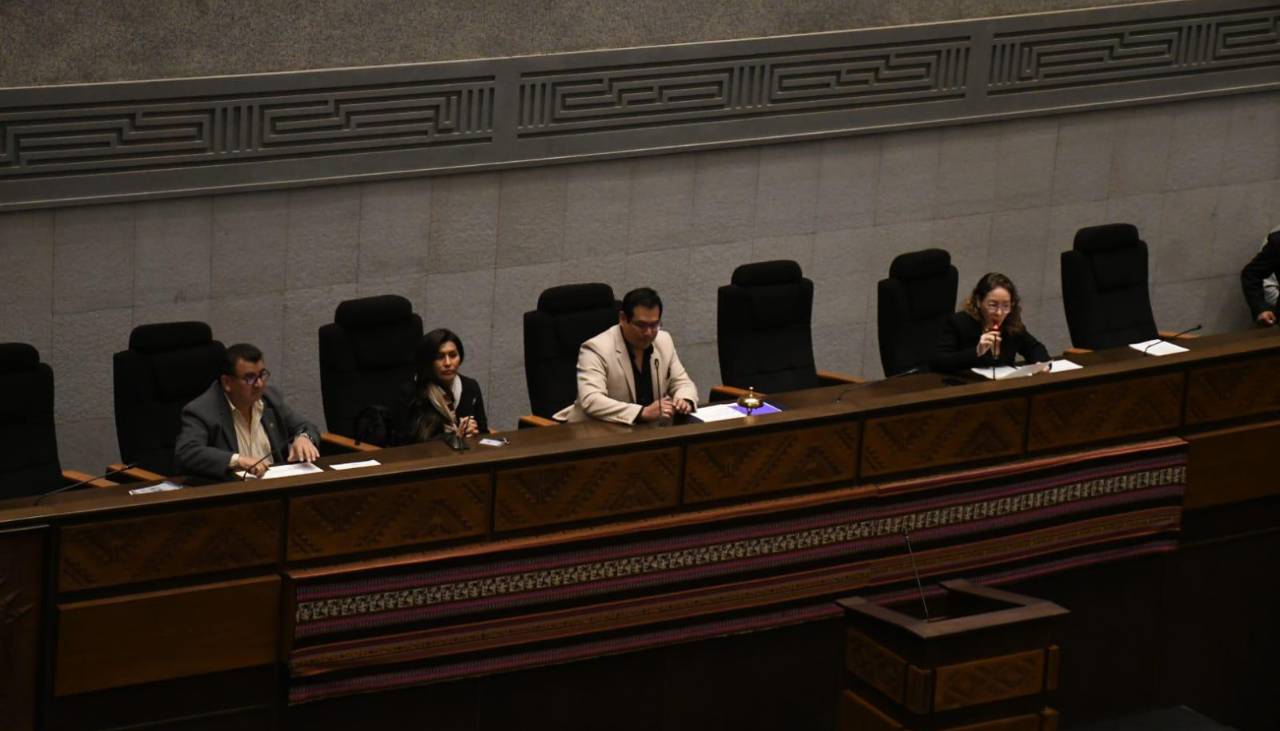 Por baja médica, Lara ausente de la sesión convocada para interpelar a ministra de Salud