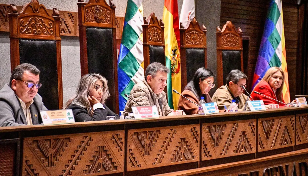 Senado: Así quedan conformadas las 10 comisiones y los 20 comités para la legislatura 2025-2026