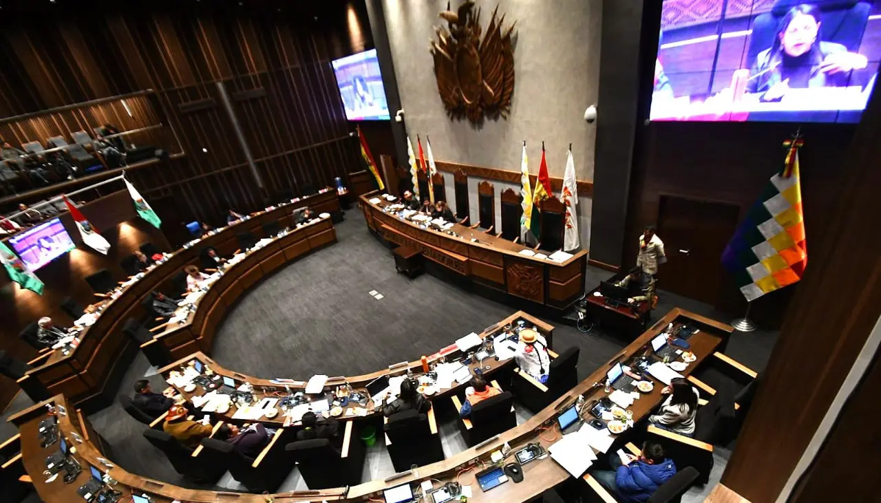 Con oposición del evismo, Senado sesiona por el crédito del BID de $us 250 millones; el informe del TSE se suspendió