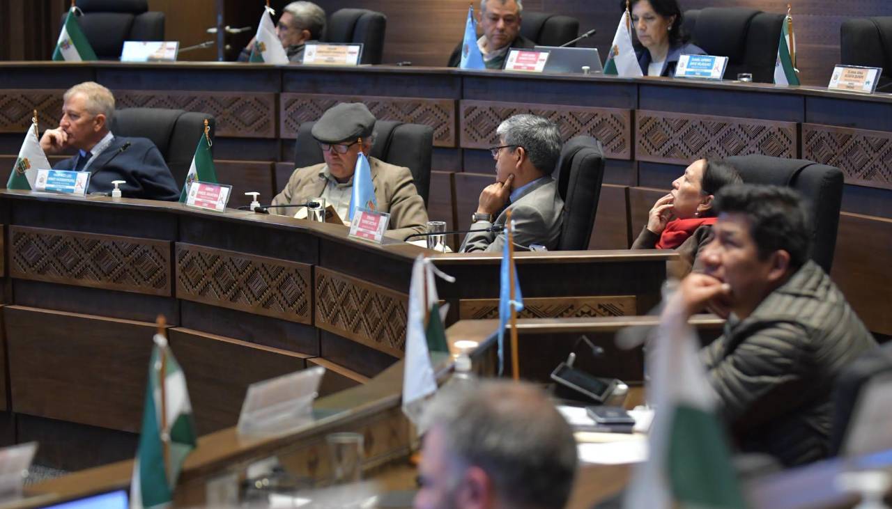 El Senado aprueba dispensación del trámite para el crédito del FMI y el ministro de Economía explica sus alcances