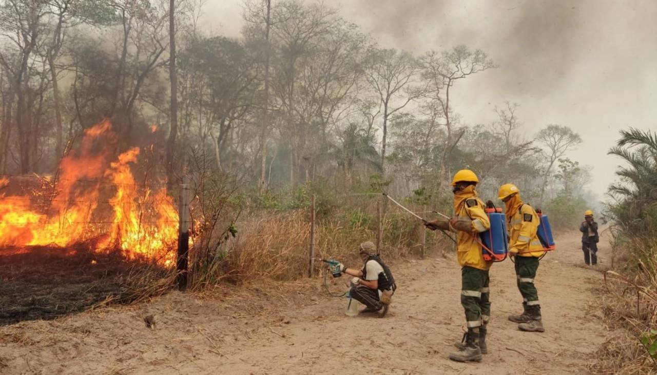 Gobierno dice que hay grupos organizados que realizan quemas para traficar tierras