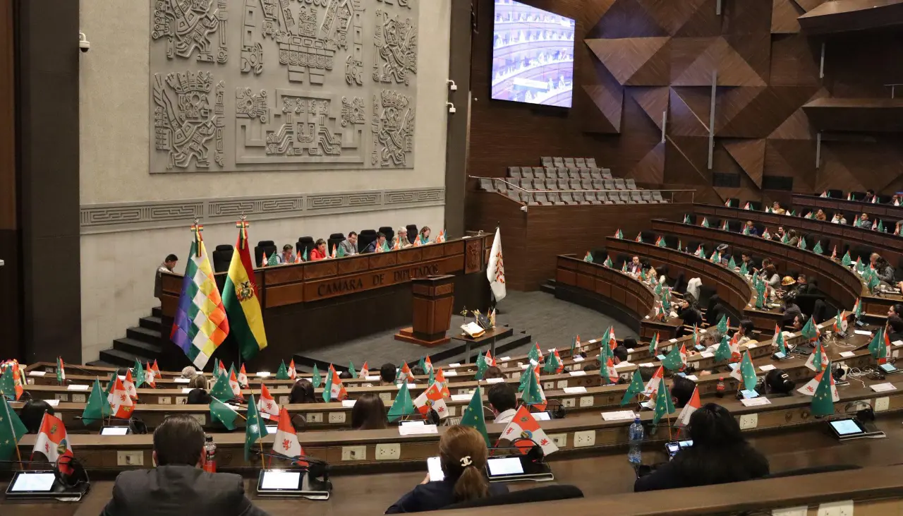 Diputados someten a votación la “dispensación de trámite” para habilitar el tratamiento de las elecciones subnacionales