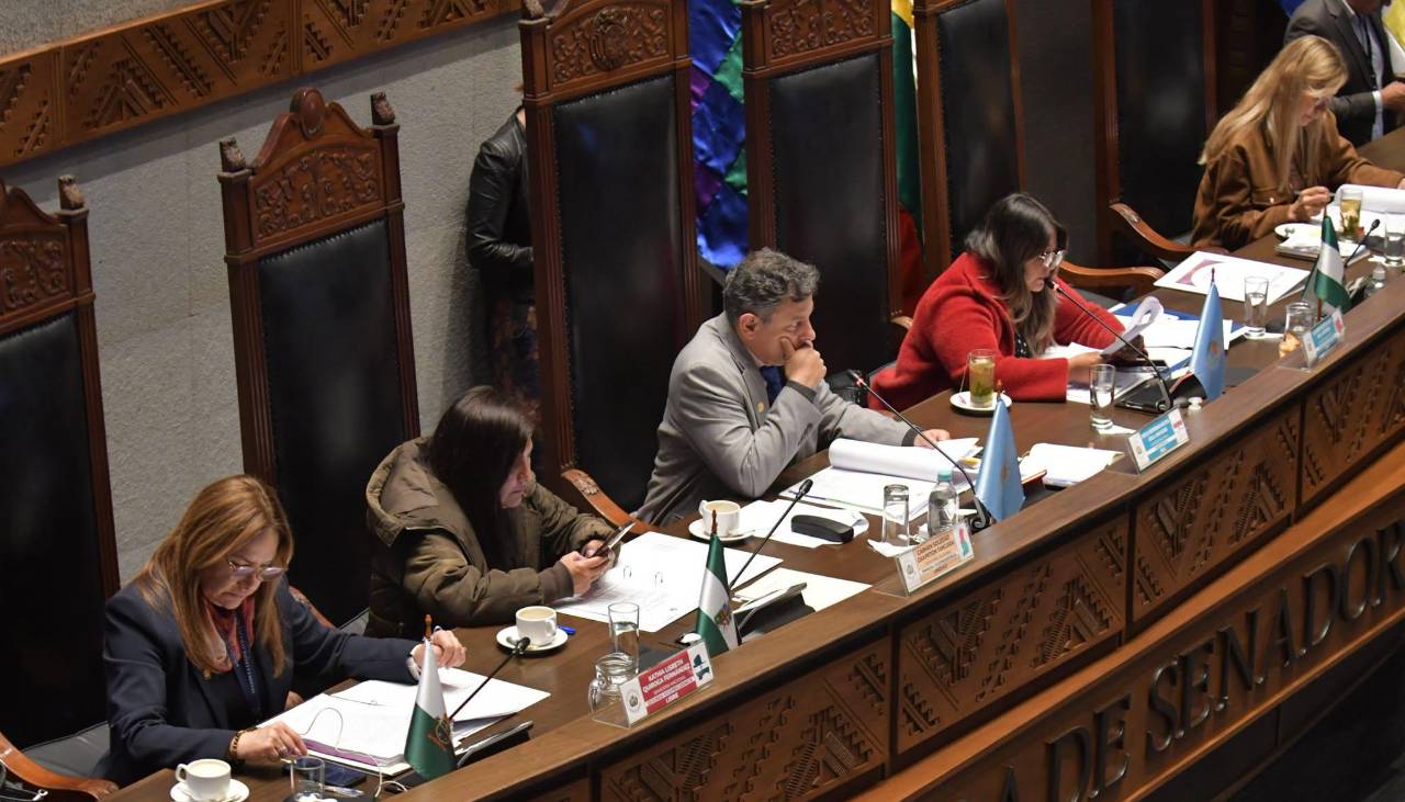 El Senado sesiona este viernes con la ley del crédito del FMI en la mesa