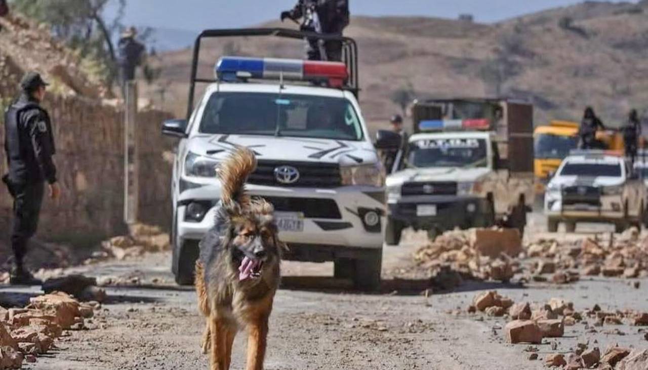 Comando de Quillacollo adopta a Rex, “el perrito desbloqueador” que “se unió” al despeje de la ruta a Oruro