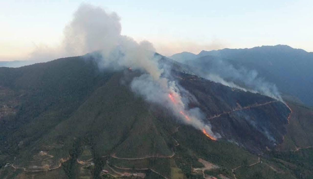 La Paz: Incendio forestal pone en alerta a comunarios de Yanacachi