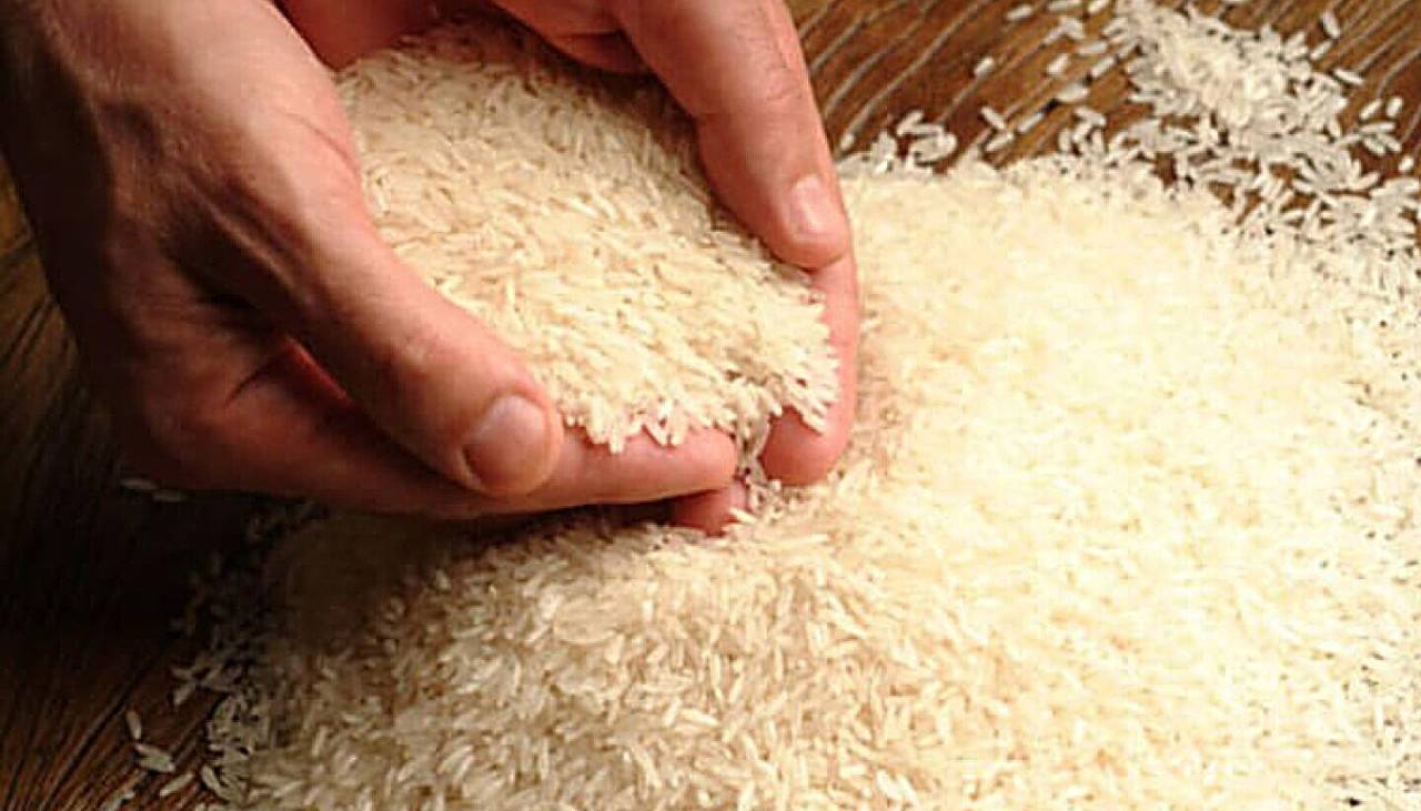 Ingenios arroceros organizan feria del arroz para este viernes, en rechazo a acusaciones del Gobierno por supuesto agio 