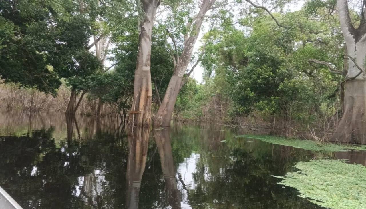 Santa Cruz: Anuncian intervención en puntos críticos del río San Julián, tras pérdidas de 17 toneladas de granos