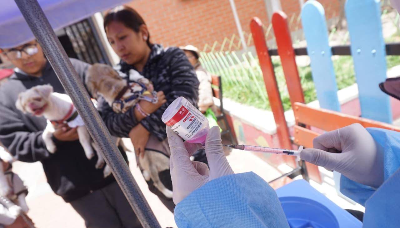 Avanza la vacunación contra la rabia con la meta de llegar a 3 millones de mascotas