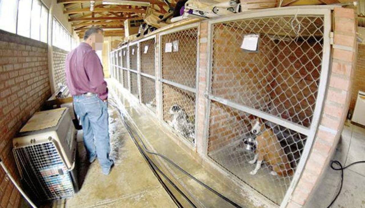 Muerte por rabia: Zoonosis descarta al perro señalado de morder a una niña como fuente de contagio y buscan origen de la transmisión