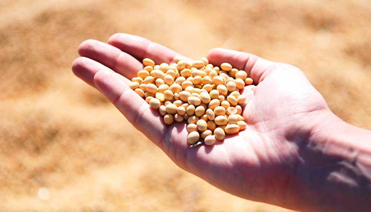 Productores de San Julián se declaran en emergencia, exigen “liberar” biotecnología y rechazan el “arancel cero” para la importación de la soya