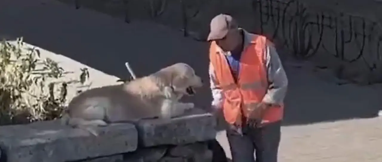 $output.data $output.data