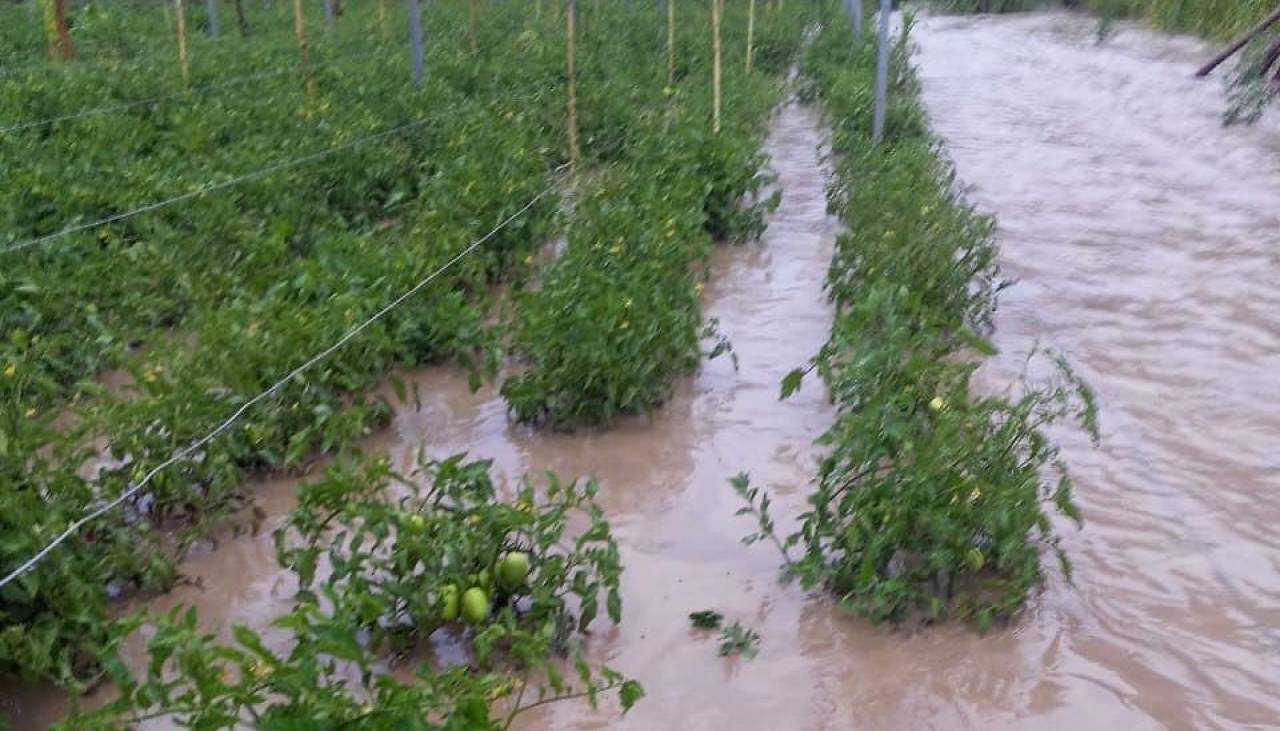 Riada golpea a Cotagaita y arrasa unas 20 hectáreas de cultivos agrícolas y frutales 