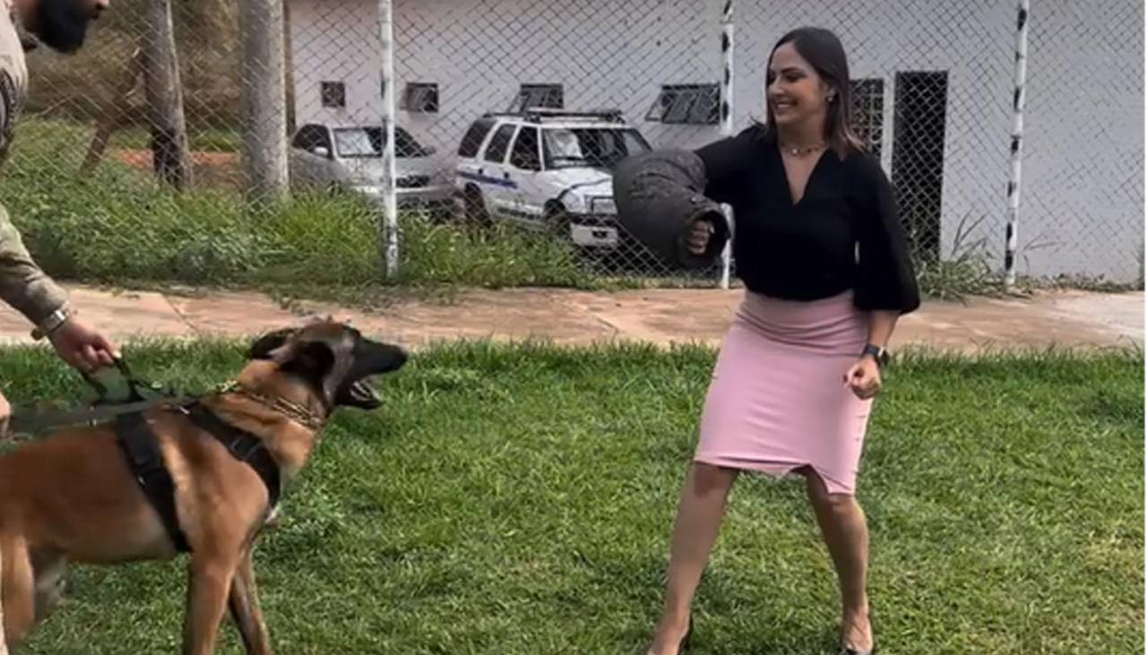 Video: Demostración de un perro de la policía con una periodista no salió como esperaban