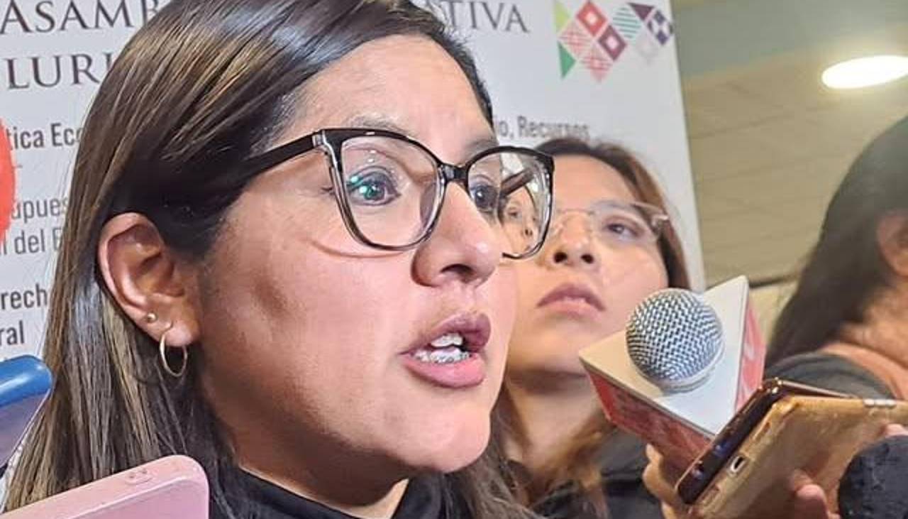 Se busca “forzar” contrato de litio sin esperar fallo del TCP, denuncia diputada Claros
