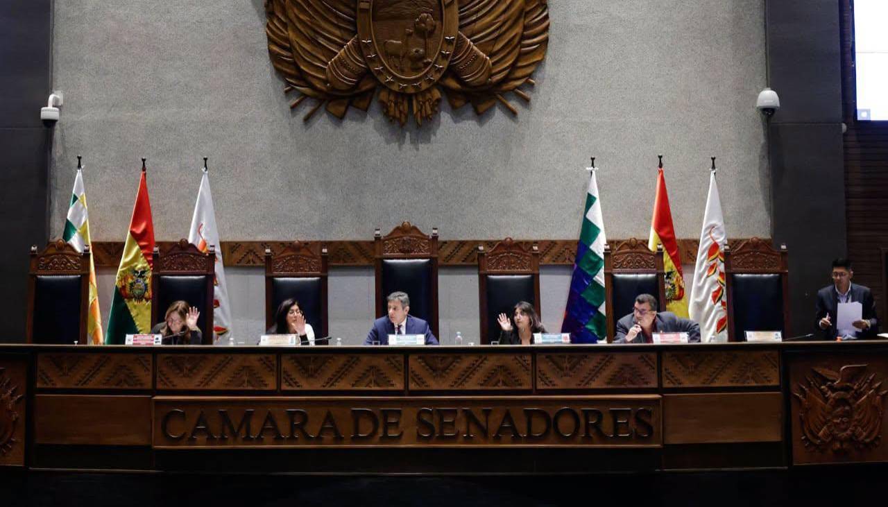 Al menos cuatro senadores del PDC buscan la presidencia del Senado, dice la senadora Crispín