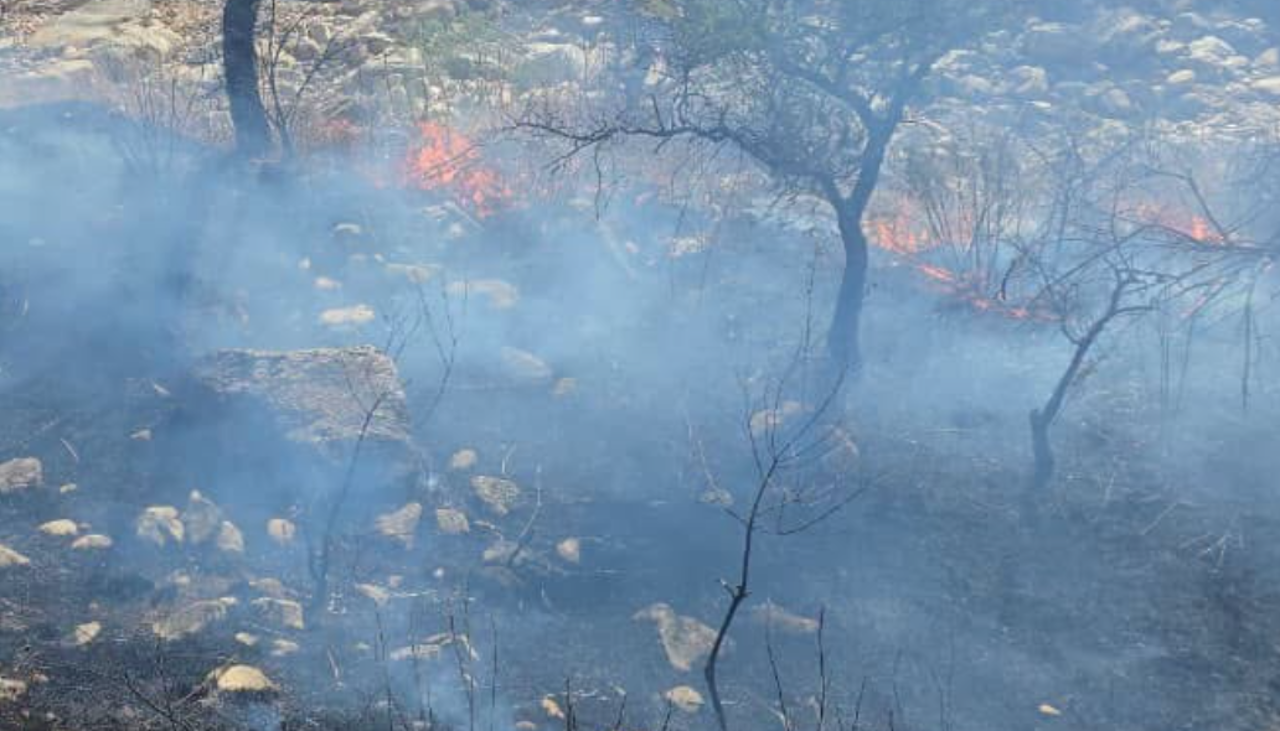 Cochabamba: Controlan tres incendios forestales en Vacas y Corani